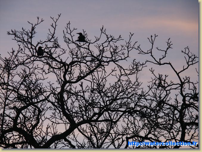 Diapositive suivante